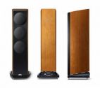 Напольные акустические системы naim Naim Audio Ovator S-400