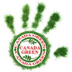 Газонная трава Канада Грин, Интернет-магазин