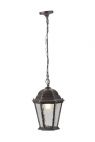 Arte Lamp Уличный подвесной светильник Arte Lamp Genova A1205SO-1BS