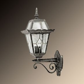 Arte Lamp Уличный настенный светильник Arte Lamp Paris A1351AL-1BS