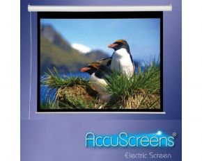 Экран для проектора 120" - Accuscreens Electric NTSC (3:4) 305/10' Accuscreens Экран для проектора 120" - Accuscreens Electric NTSC (3:4) 305/10'