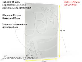 Зеркало В-221, ШхВ 40х60 см., зеркала для офиса, прихожих и ванных комнат, горизонтальное или вертикальное крепление ЕвроЗеркало