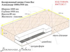 Беспружинный матрас Спим Все Александер 1000х1950 мм. Спим Все