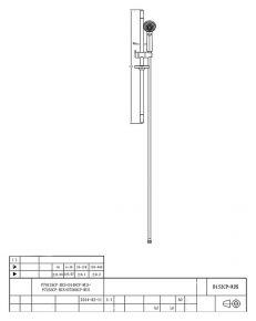 Душевой гарнитур Bravat Eco D152CP Bravat