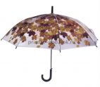 Коричневый прозрачный зонт с кленовыми листьями