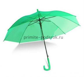 Зелёный прозрачный зонт