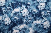 Интерлок с рисунком с/л 330гр/м2  Силуэтные цветы фон синий