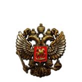 Герб России на любой чехол (размер большой), металл бронза-алоэ, цвет золотистый