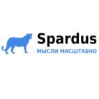 Spardus, Интернет маркетинг / Продвижение сайтов / SEO